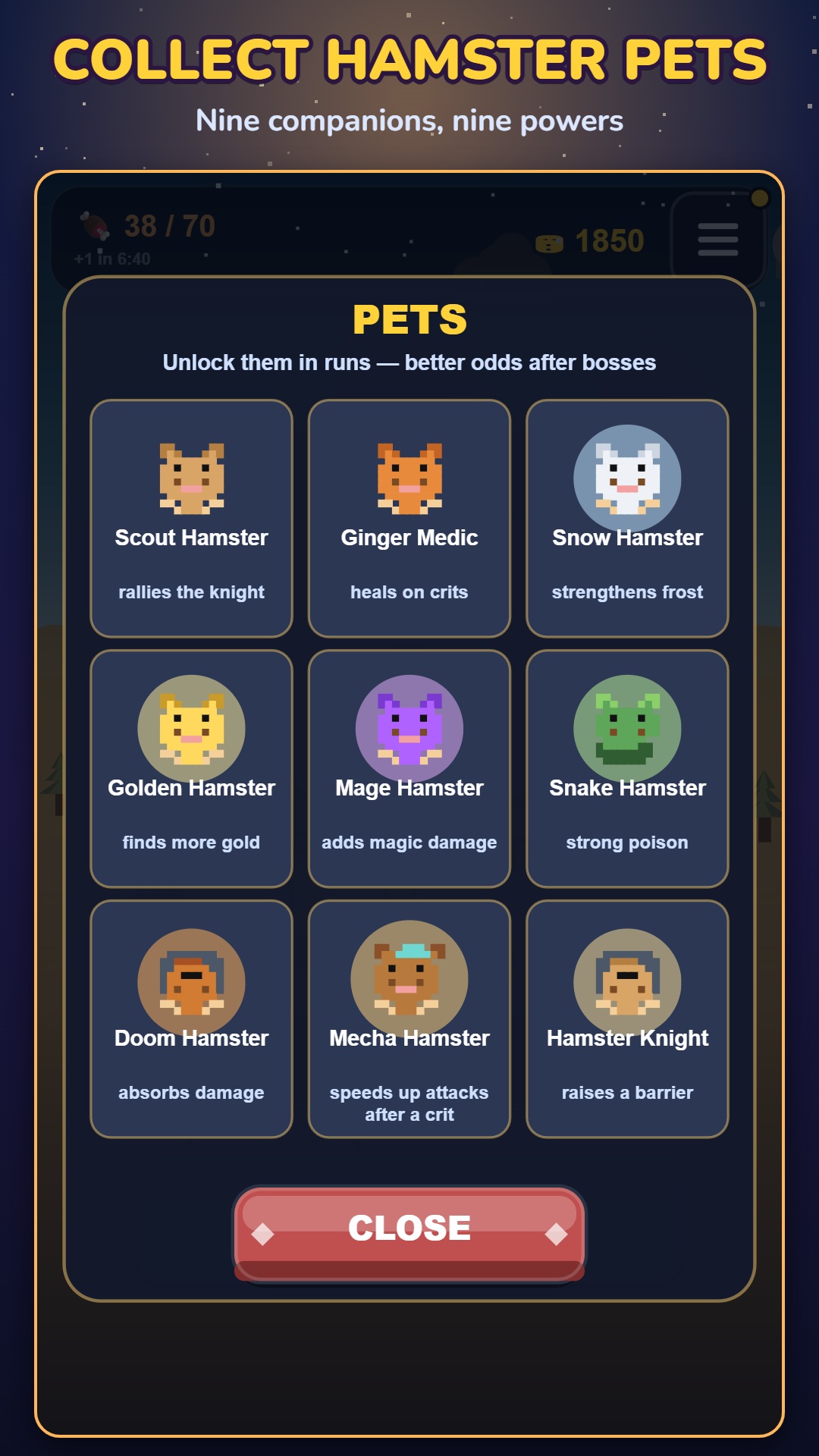 Hamster Companions